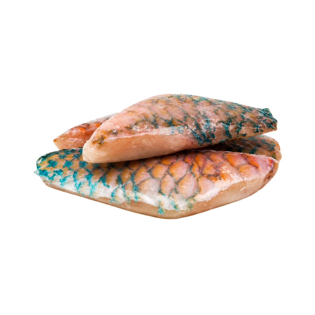 parrotfish-fillet-170-230g-skin-on-frozen-1kg